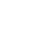 The Walt Disney Company